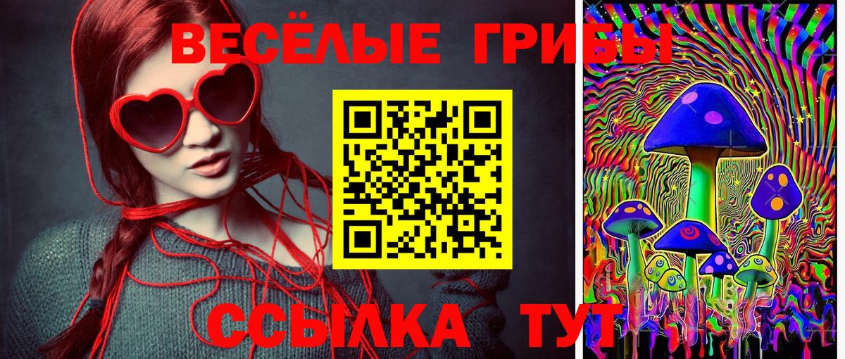 Брянск  Галлюциногенные грибы GOLDEN TEACHER  Вход с VPN 
