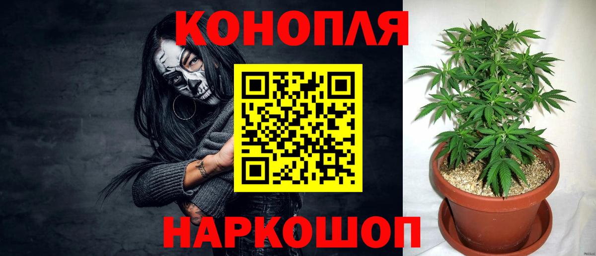 Конопля VHQ  Марихуана тримм  Бошки марихуана SATIVA & INDICA  Брянск  Каннабис марихуана  Вход с VPN 